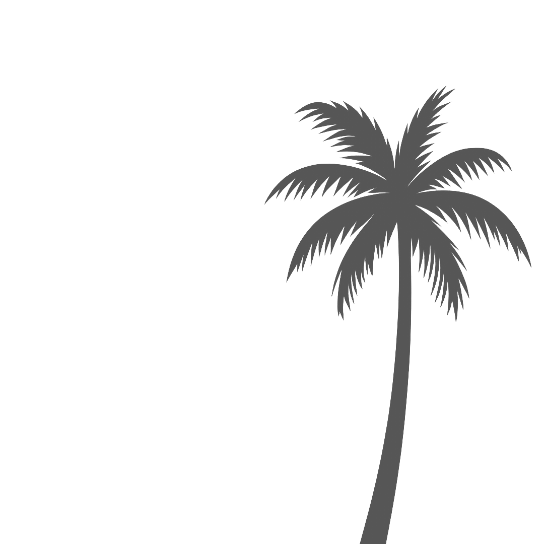 palmera
